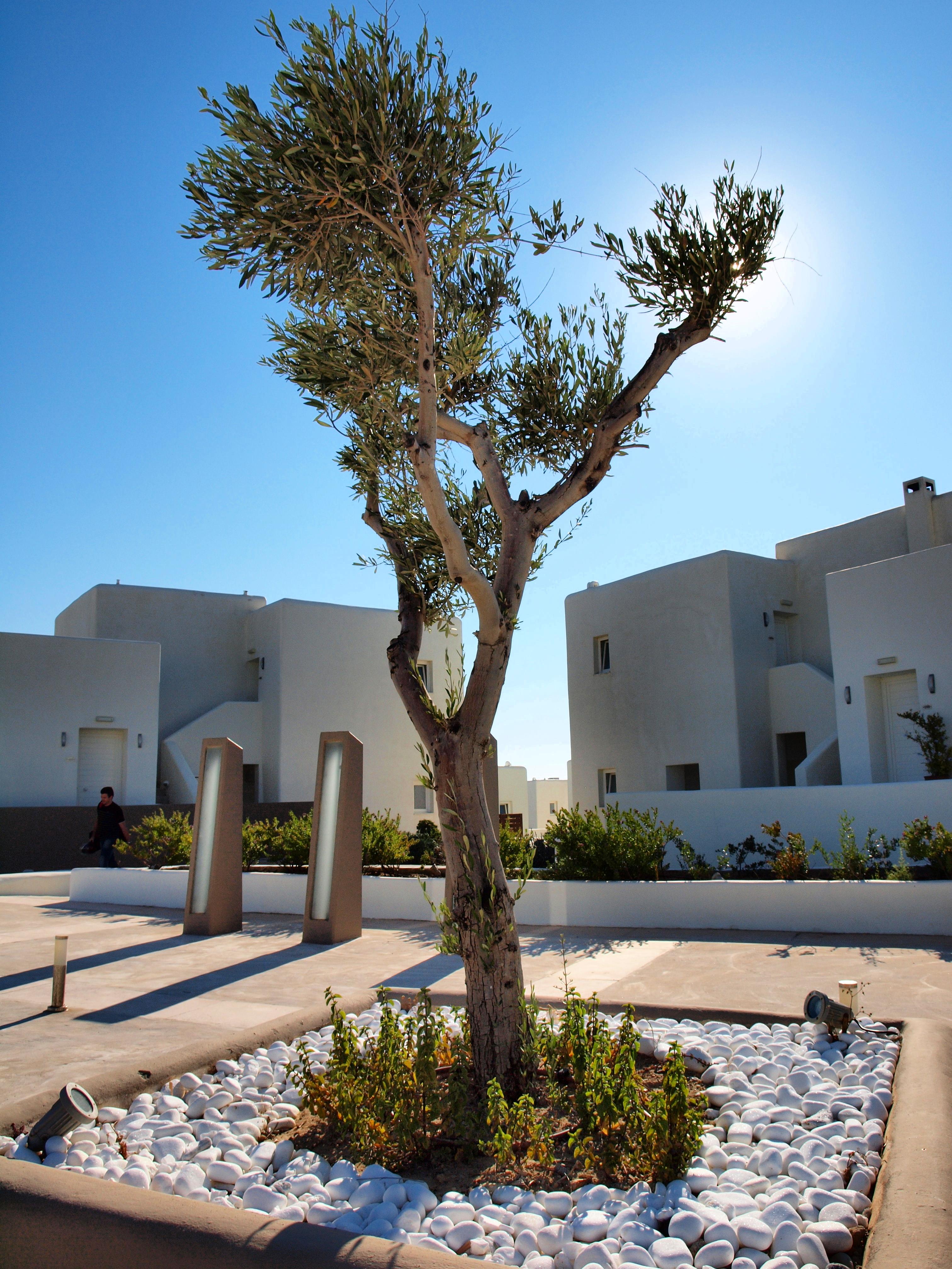 Archipelagos Resort Páros Eksteriør bilde