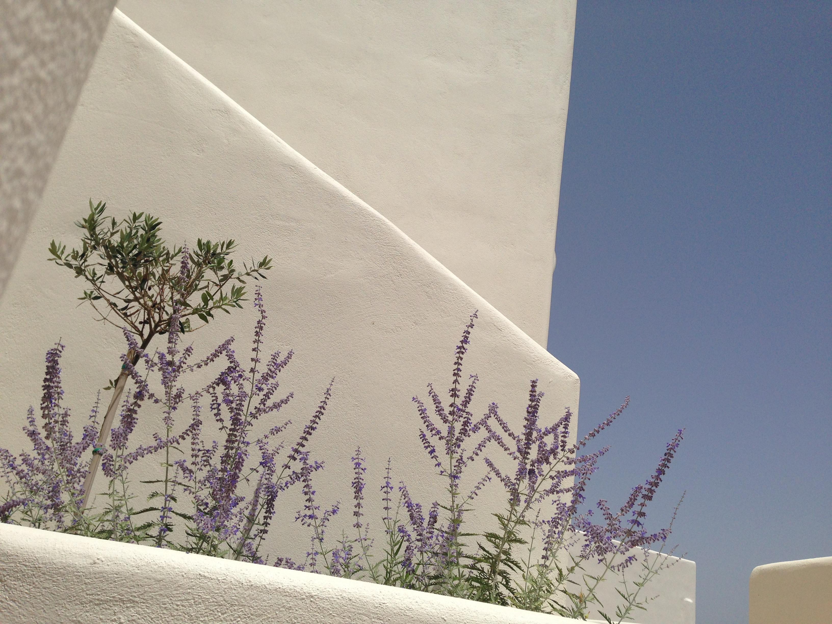 Archipelagos Resort Páros Eksteriør bilde